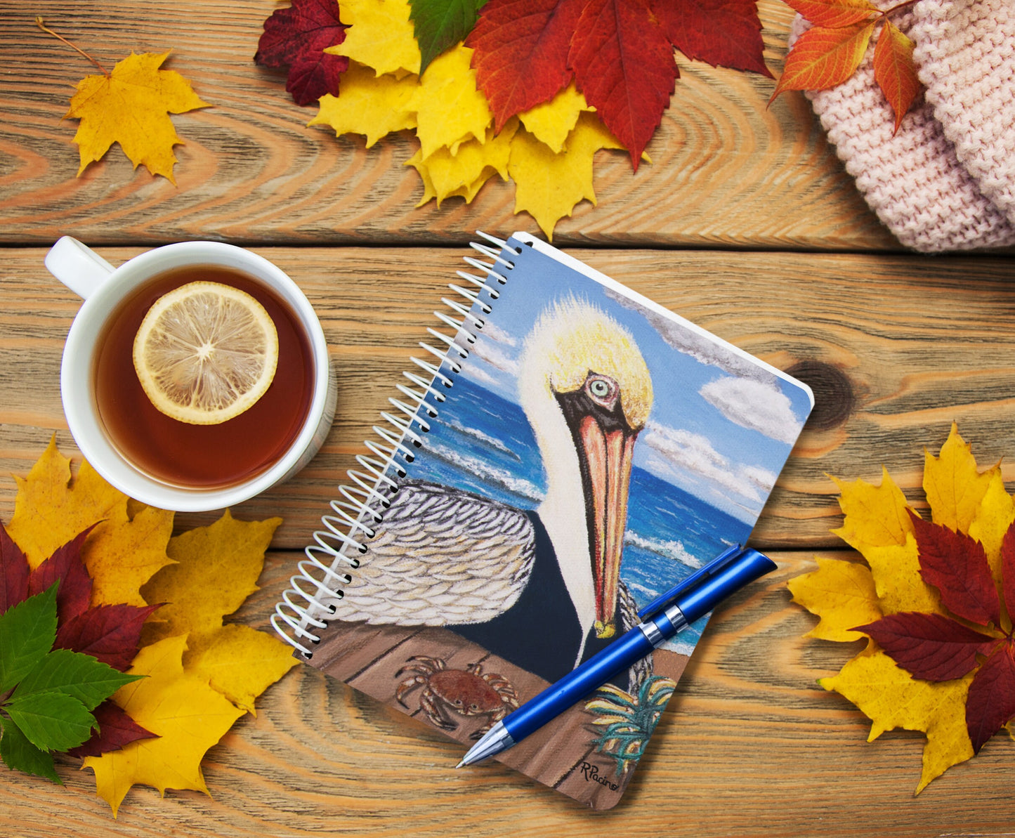 Pelican Notebook – Palermo the Pelican, Coastal Art by Roberta Pacino